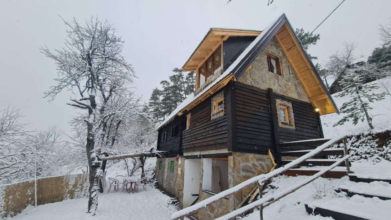 B&B Zlatibor - Miliceva ruza - Bed and Breakfast Zlatibor