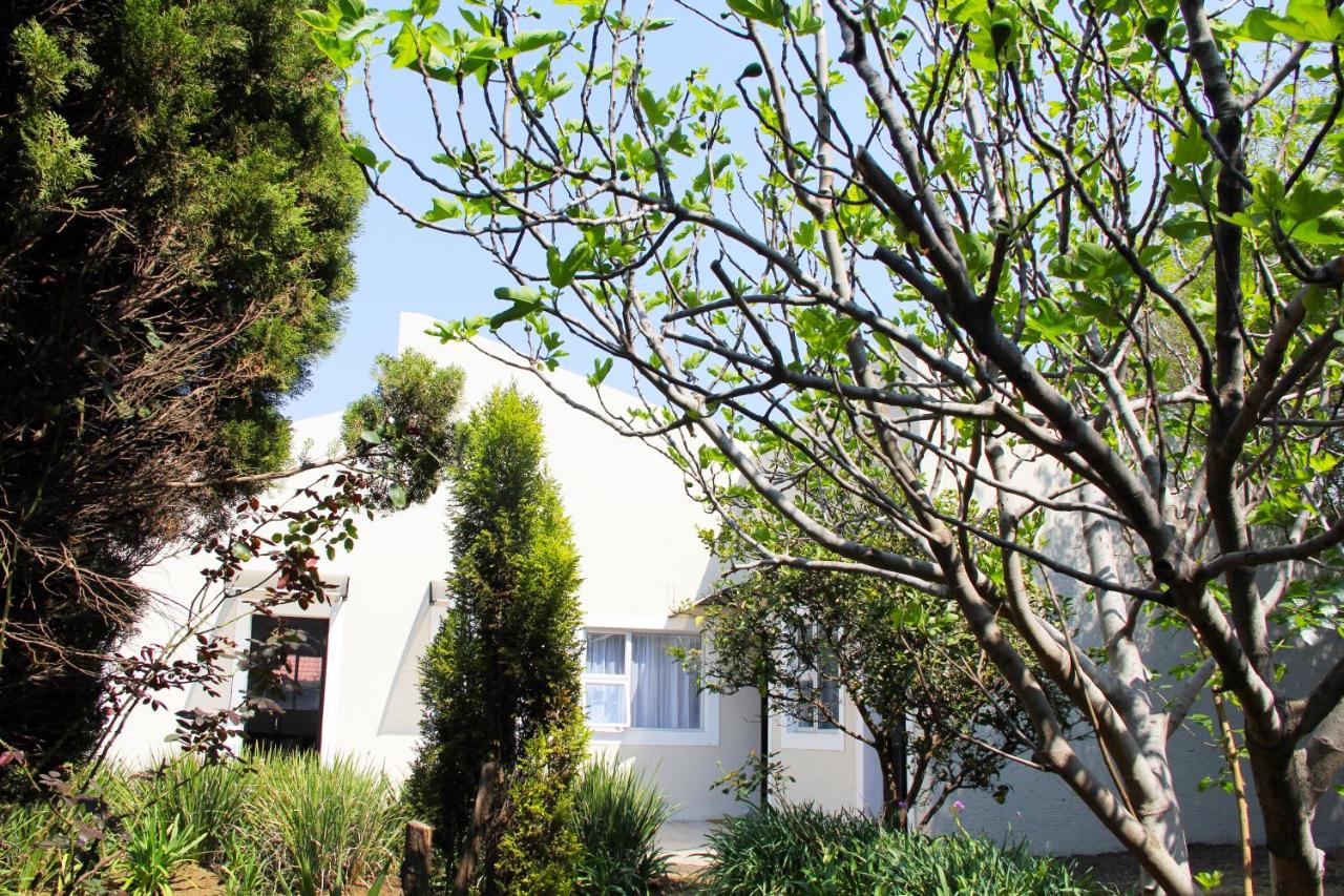 La Coscello Guest House - Bed and Breakfast