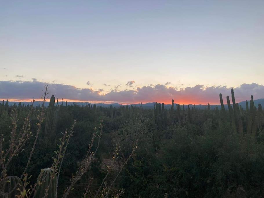 Cardón Alley Studio #2 - 2nd Floor - B&B La Ventana