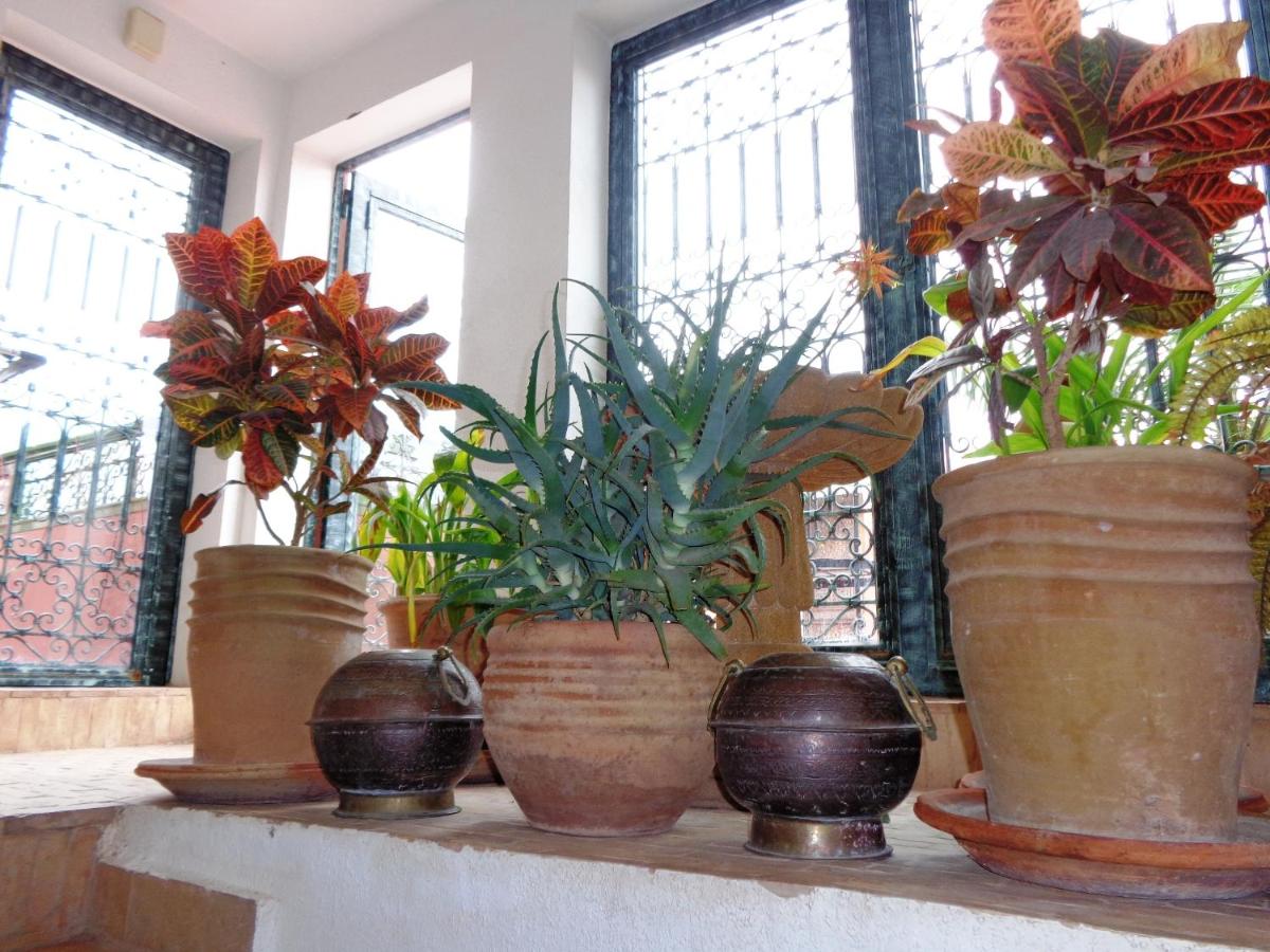 Riad Sesame - B&B