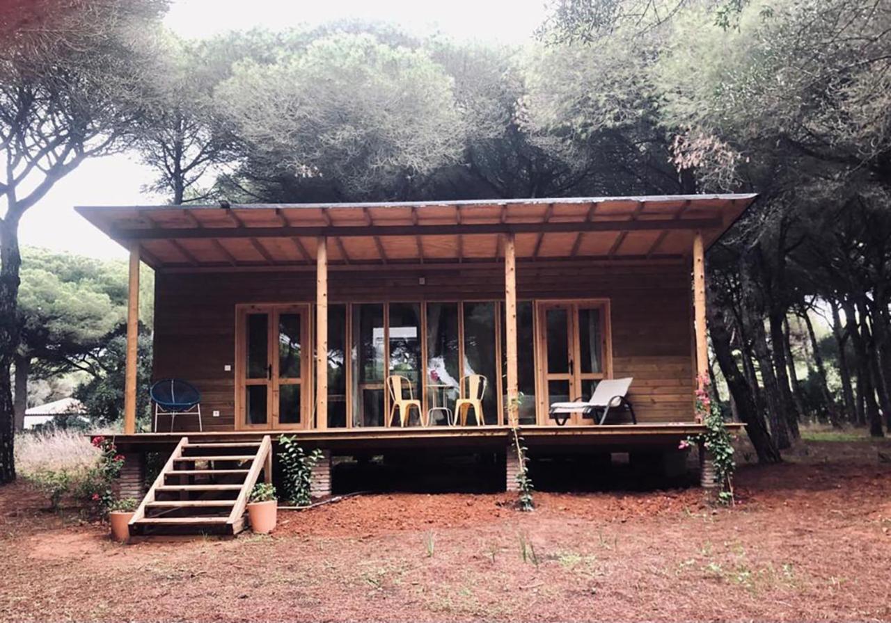 Bungalow con Vista Giardino