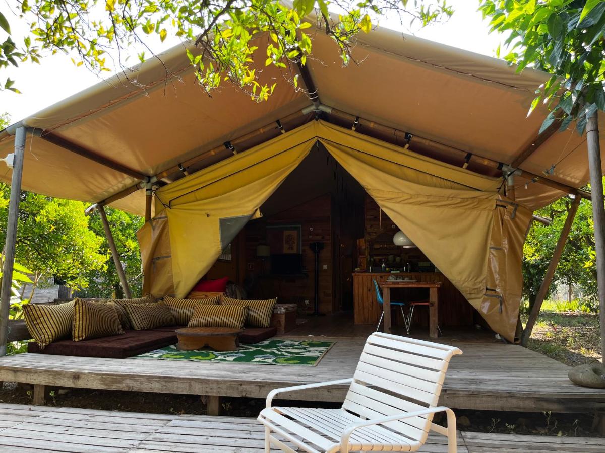 Tenda Safari 