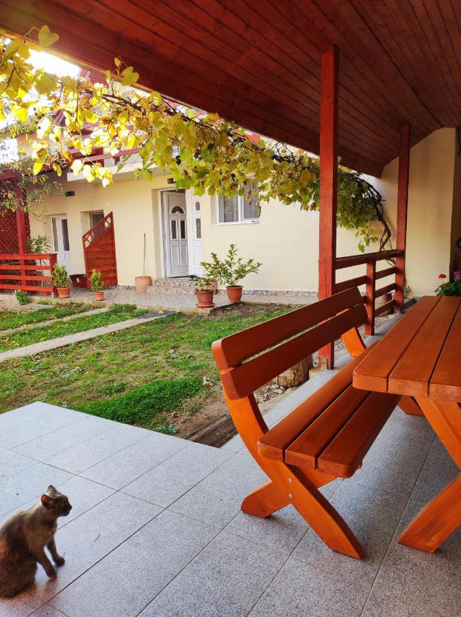Casa Piatra Craivii, aproape de Alba Iulia - Ferienwohnung Alba Iulia