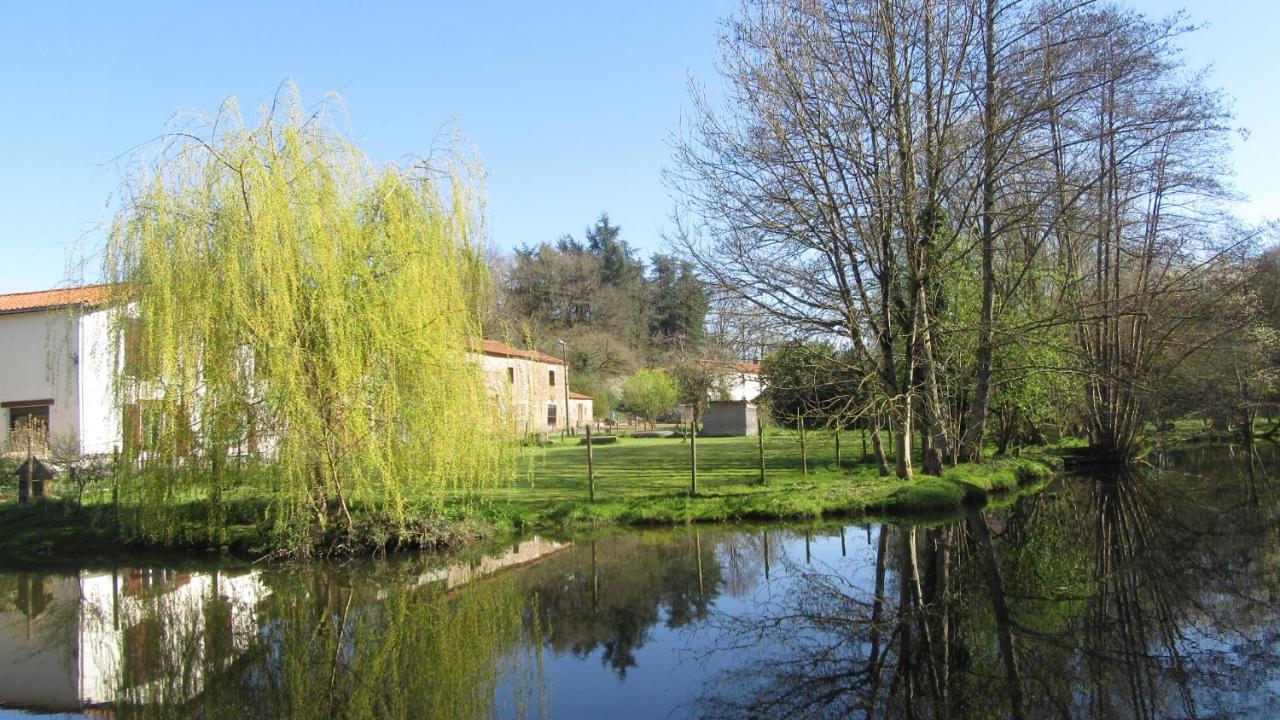 B&B Bazoges-en-Paillers - Chambres d'hôtes de La Templerie-Moulin - Bed and Breakfast Bazoges-en-Paillers