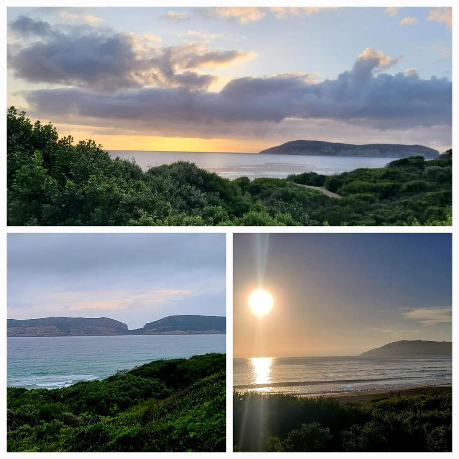 The Paper Fig House - Ferienwohnung Plettenberg Bay