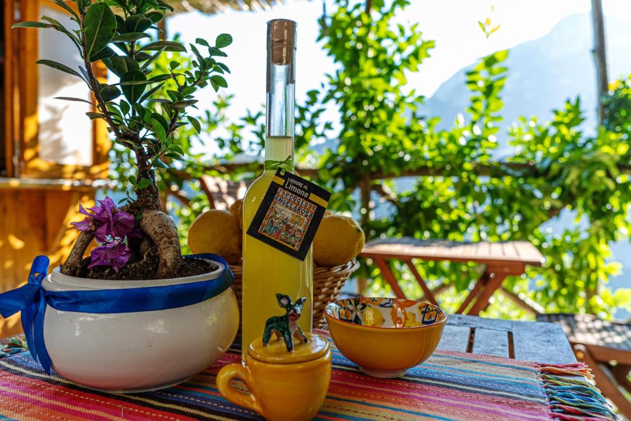 Poggio Angelarosa: Lemon Garden Stay&Relax - B&B Scala