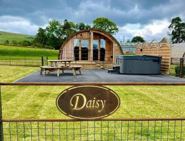 B&B Rhayader - Daisy - Bed and Breakfast Rhayader