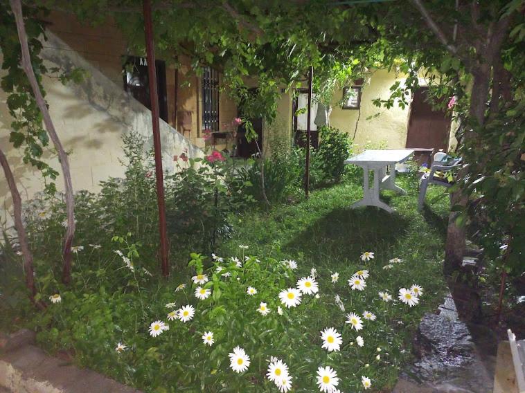 Acan Apart günlük kiralık ev Ürgüp - B&B