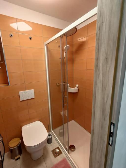 Apartment mit 1 Schlafzimmer