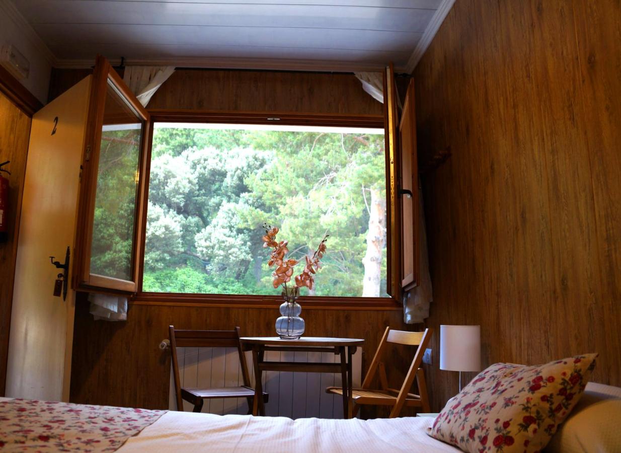 Double Room with Two Double Beds