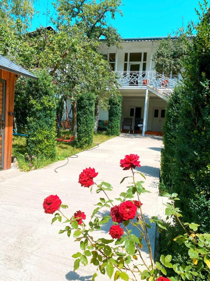 B&B Dilijan - Green Garden - Bed and Breakfast Dilijan