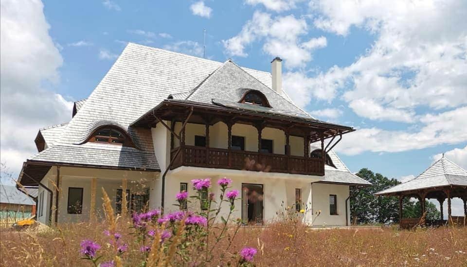 B&B Săcuieu - Pensiunea Poiana Vlădesei - Bed and Breakfast Săcuieu