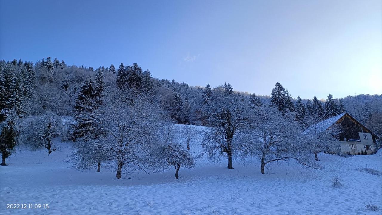 Gîte Cœur de Haute-Savoie - B&B Viuz-en-Sallaz