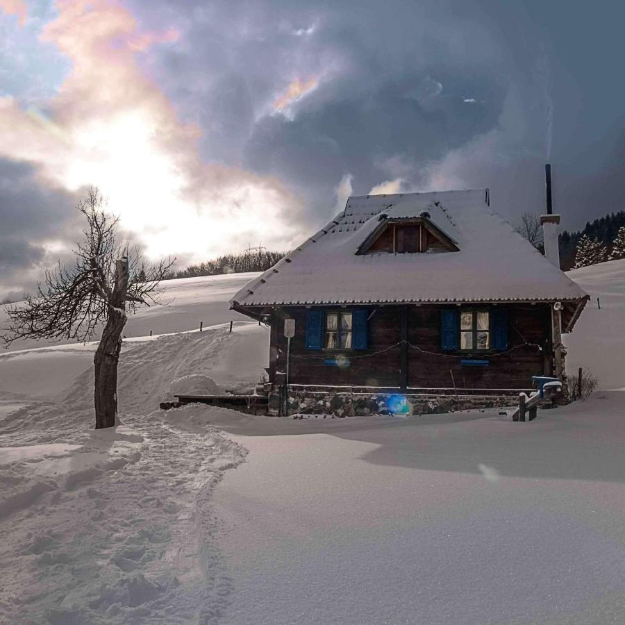 Etno kuće Boškova Voda - Chambres d’hôtes Zlatibor