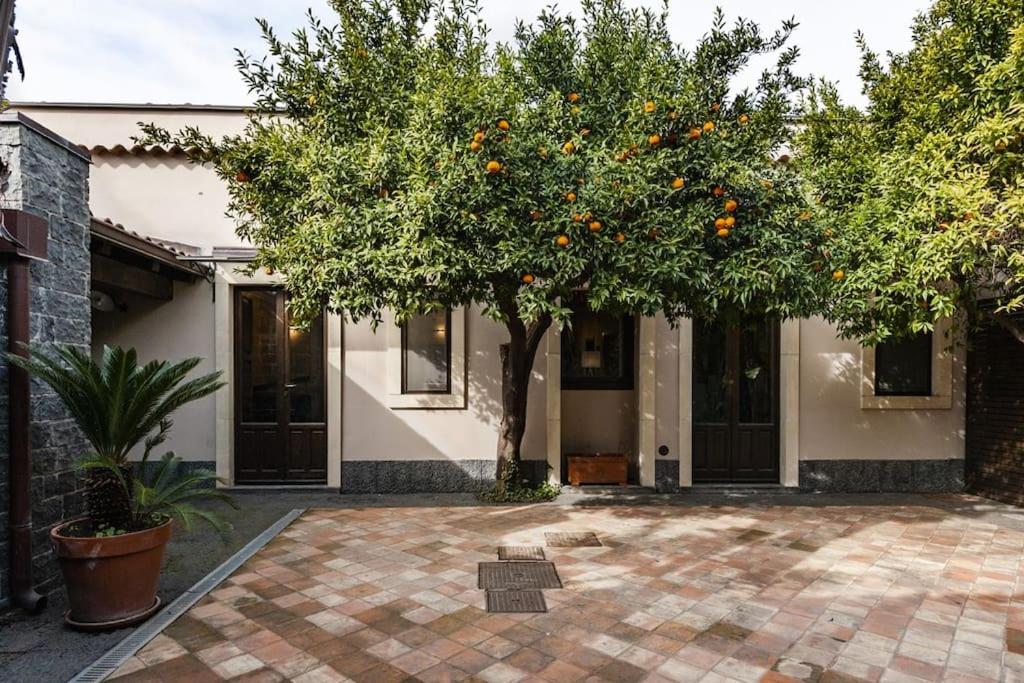 Villa con fascino antico e comfort moderno - B&B Trecastagni