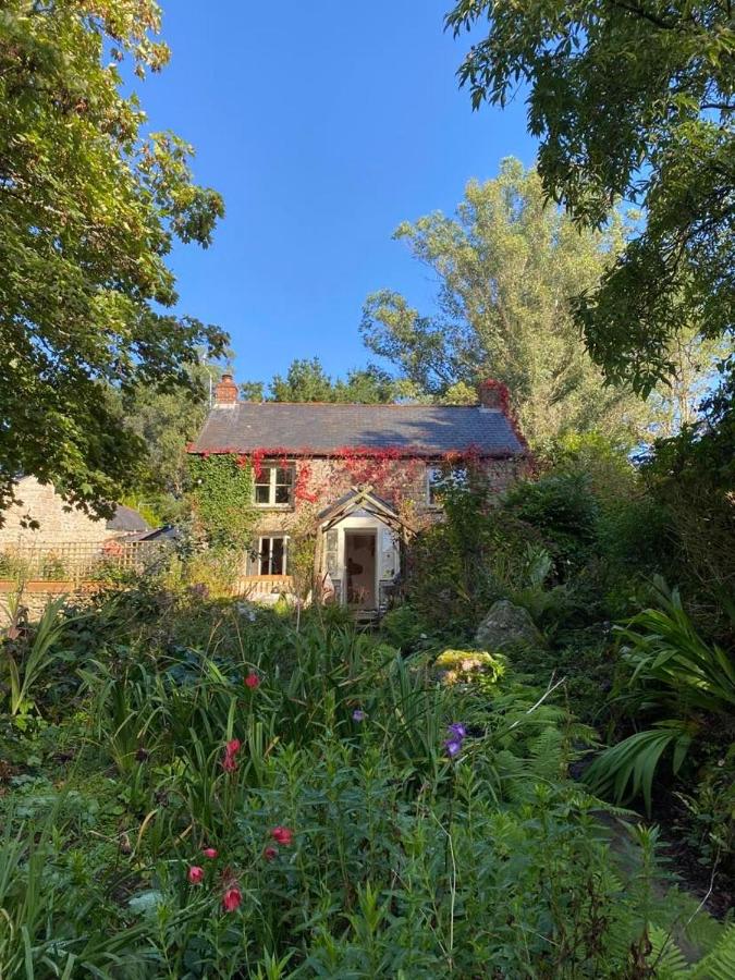 Dog friendly cottage with woodland & lake - Chambres d’hôtes Helston