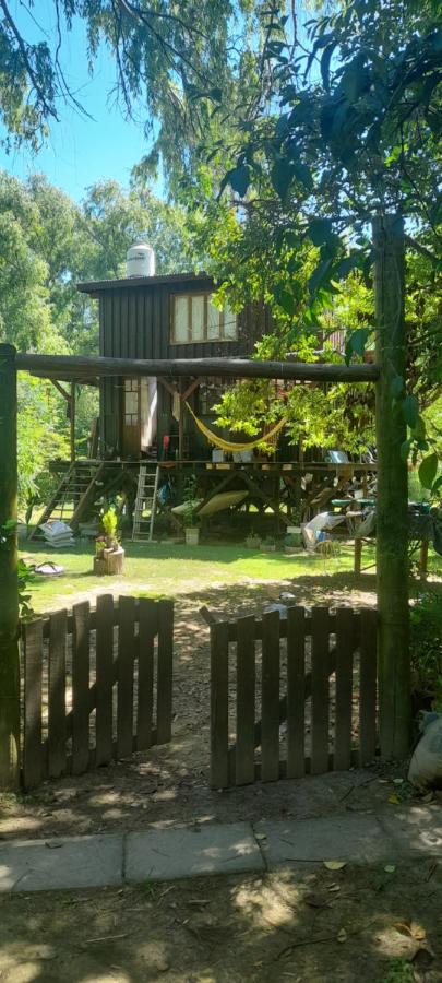 Cabaña La Colmena - Chambres d’hôtes Tigre