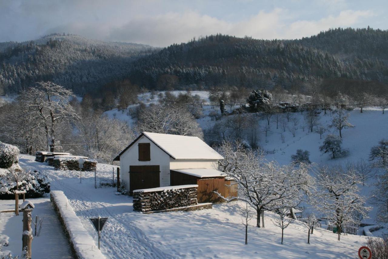 Bella Natura - B&B