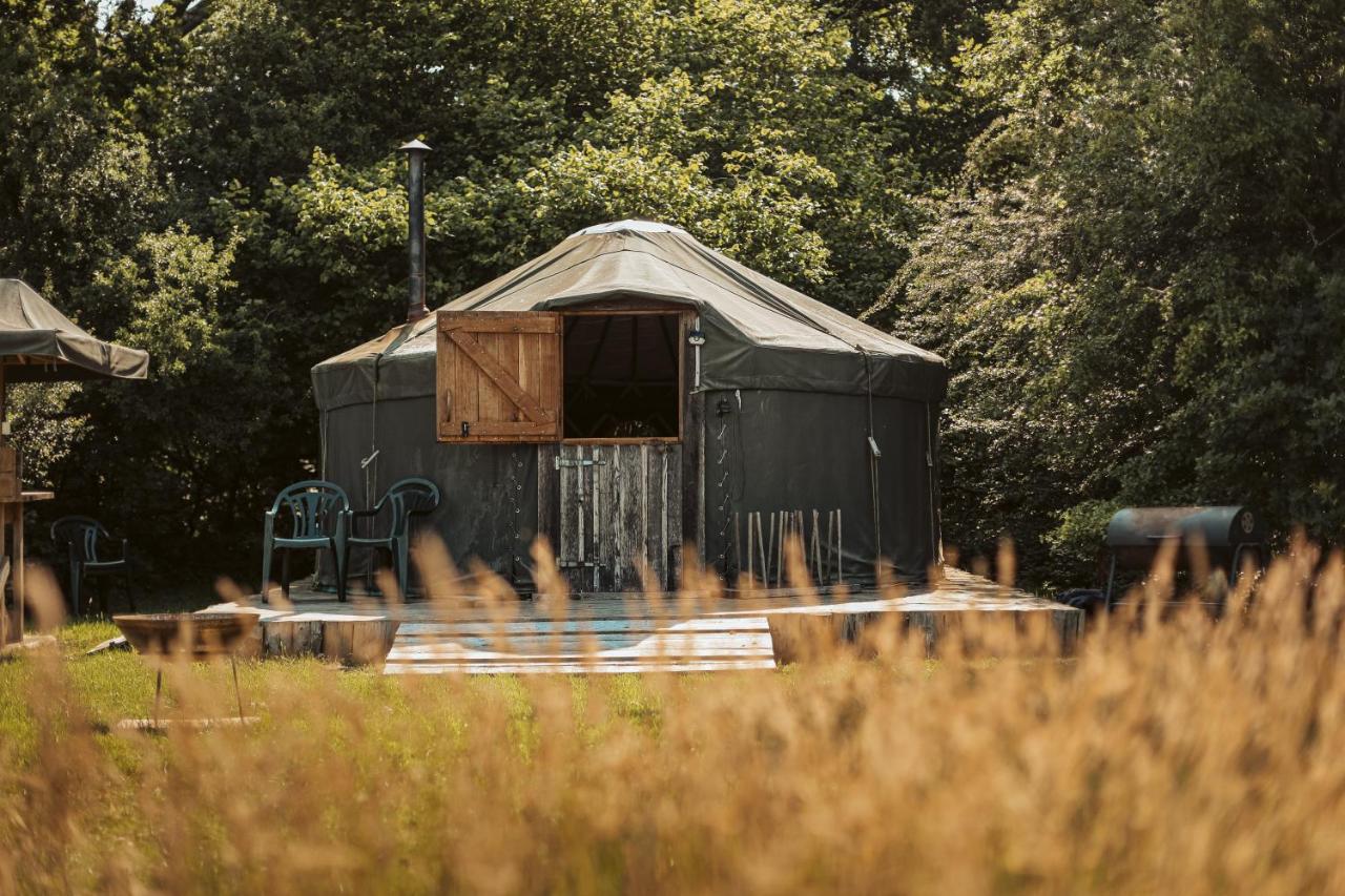 Beech Yurt - Chambres d’hôtes Fernhurst