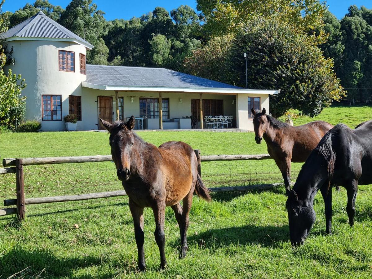 B&B Underberg - Silo Cottage - Bed and Breakfast Underberg