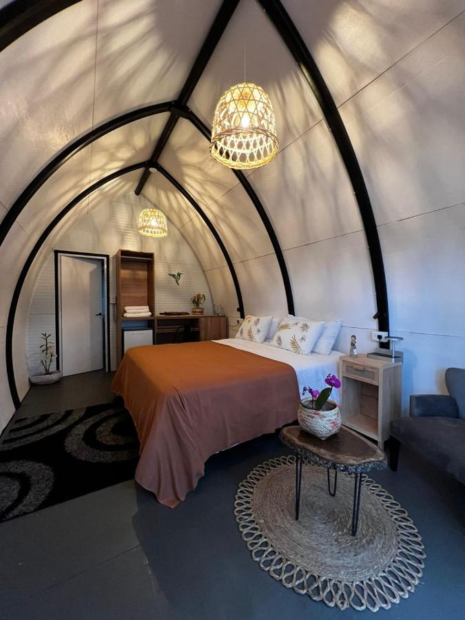 Suite Deluxe