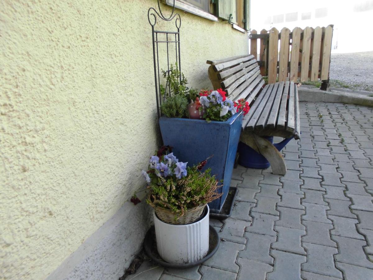 Sägerhof Bader - Ferienwohnung Rettenberg