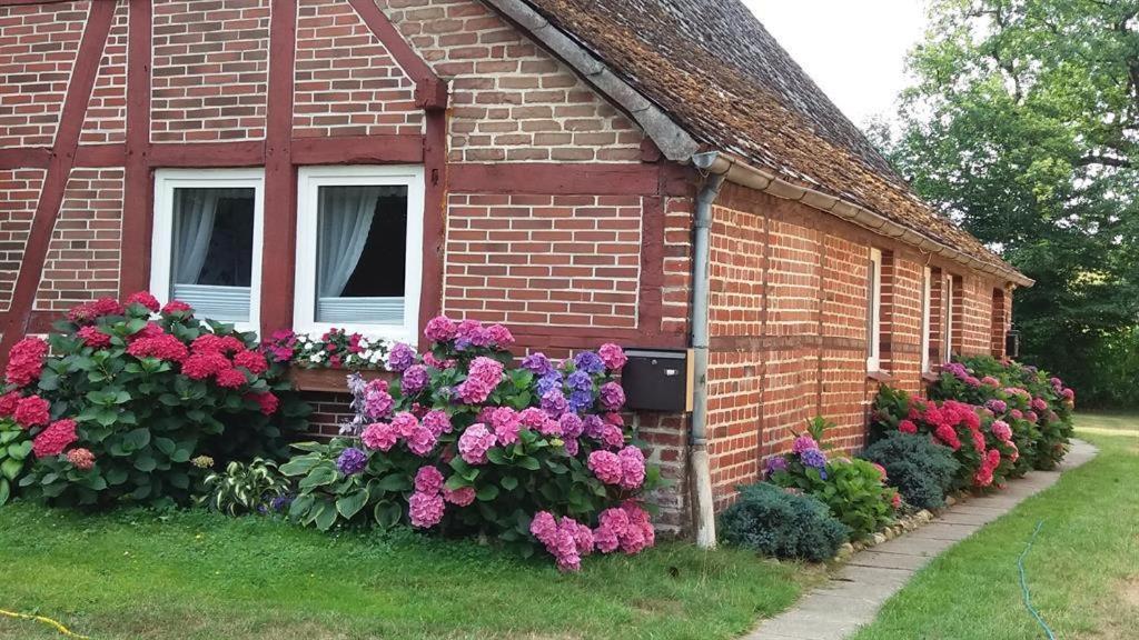 B&B Schülern - von Wiegen, Ferienwohnungen - Bed and Breakfast Schülern