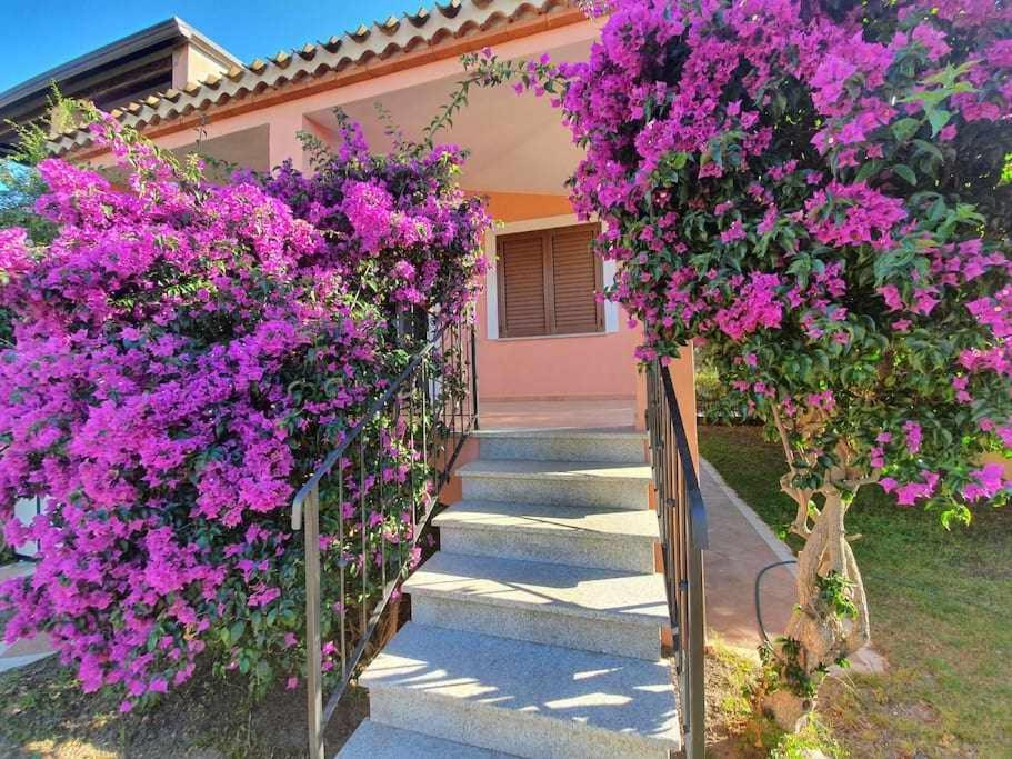 B&B Arbatax - Casa Vacanze lOlivastro - Bed and Breakfast Arbatax