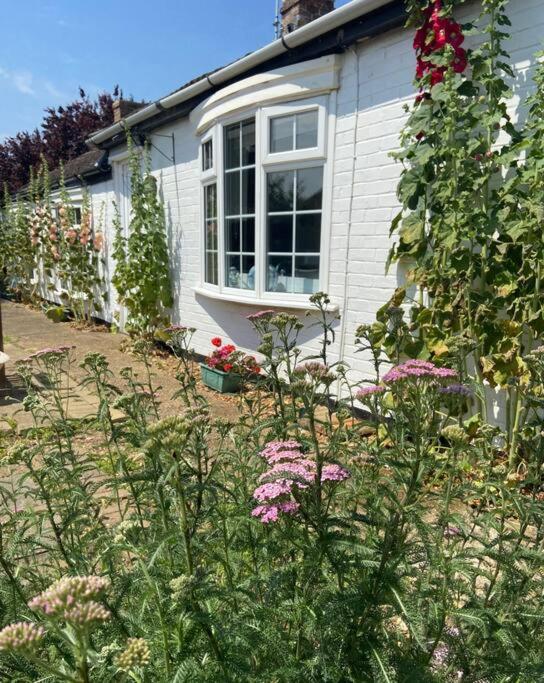 B&B Whittlesey - Field Cottage - Bed and Breakfast Whittlesey
