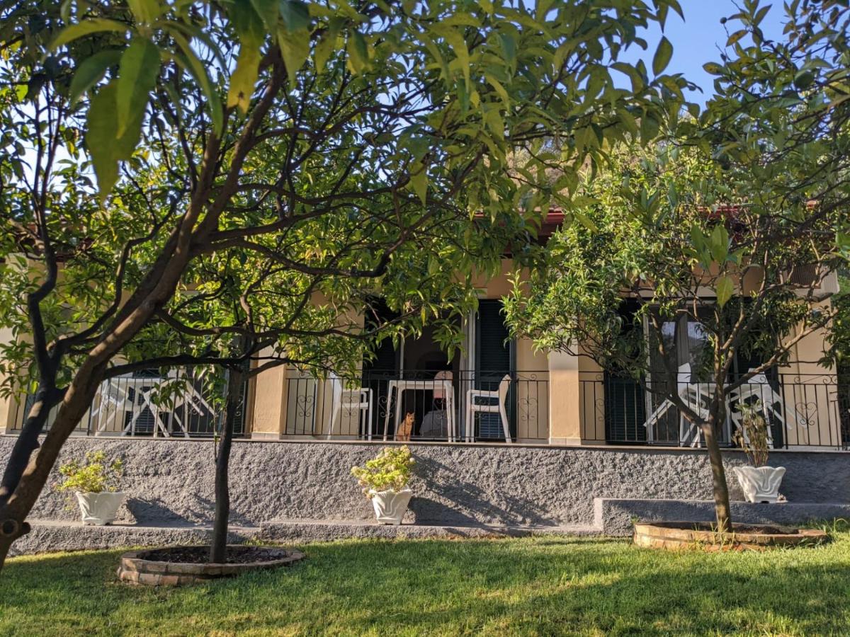 Villa Eleni - Studios - Chambres d’hôtes
