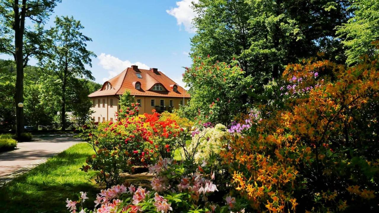 Rezydencja Grawert Boutique & Spa - B&B