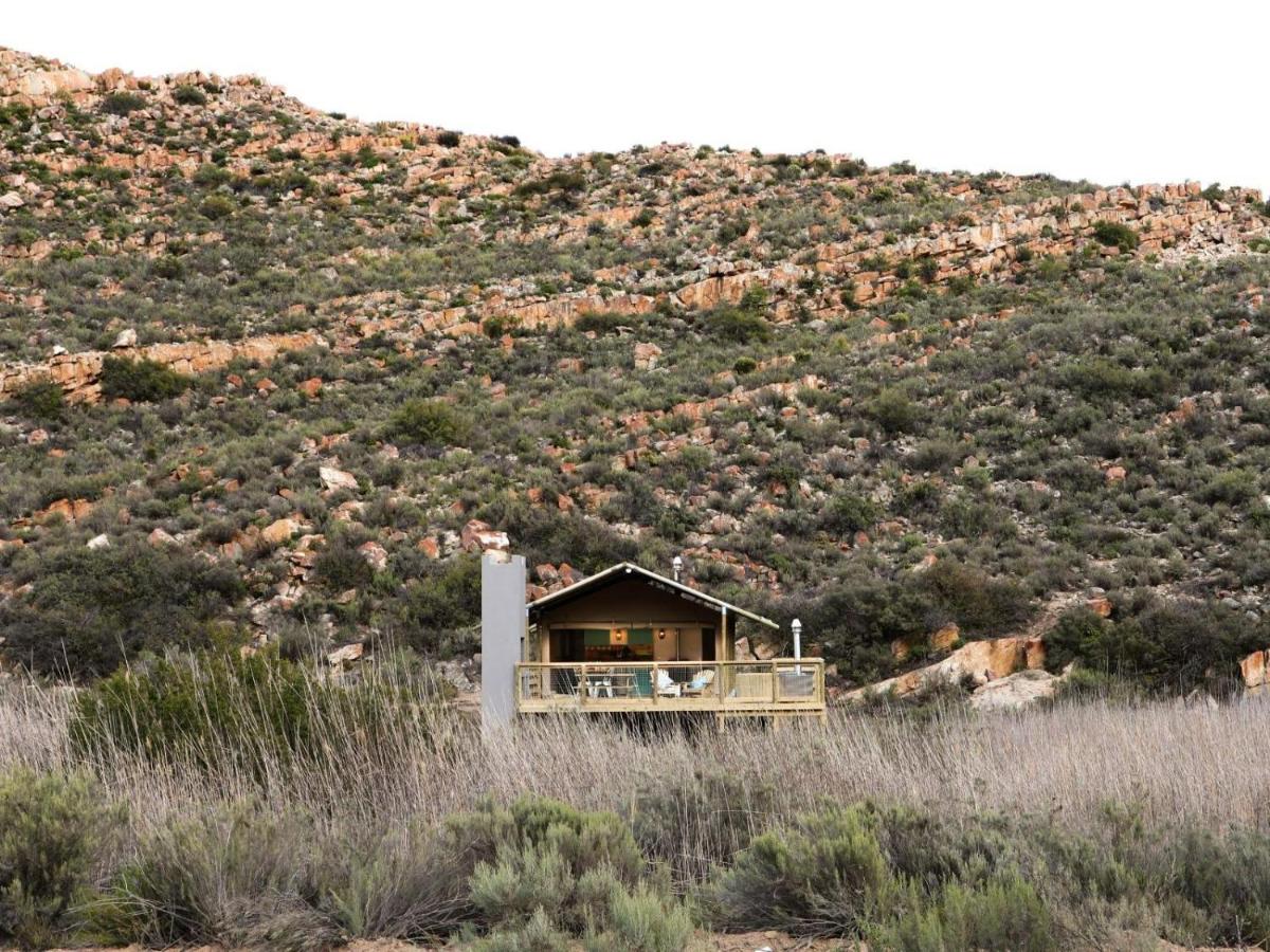 B&B De Doorns - AfriCamps at Karoo 1 - Bed and Breakfast De Doorns