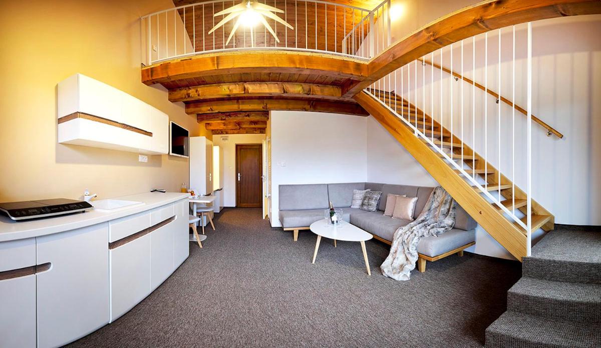 Studio avec mezzanine