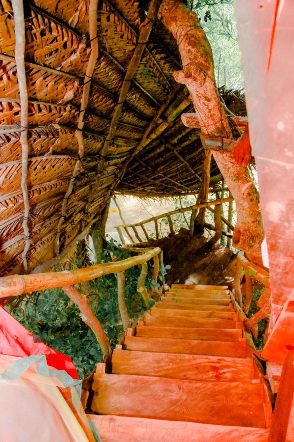 Elephant Lake Villa, Yoga & Meditation Sanctuary - Bed and Breakfast