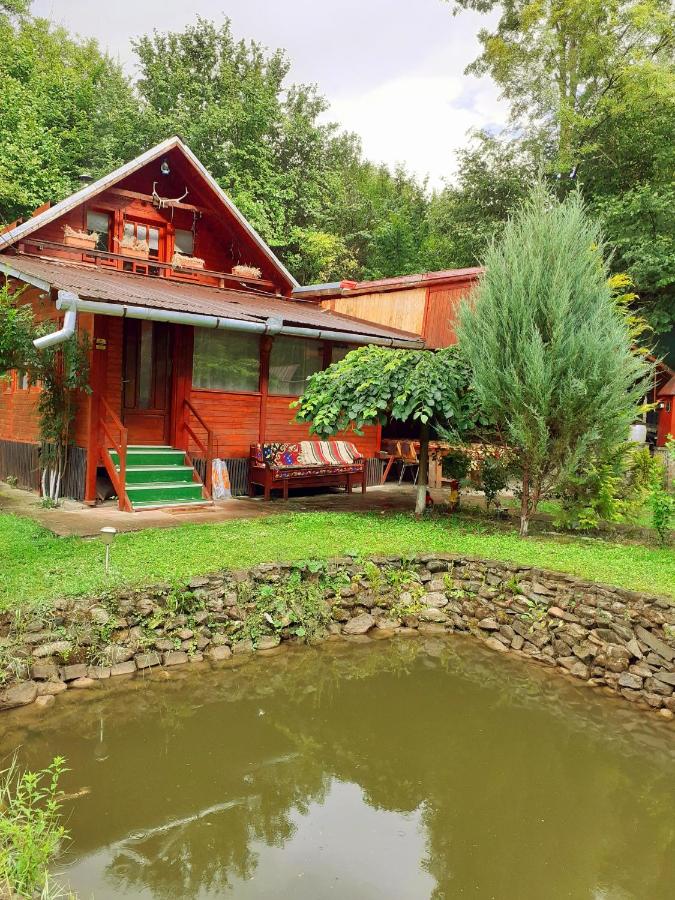 Cabana Cheile Valisoarei - Ferienwohnung Vălişoara