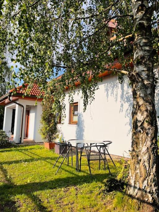 B&B Ořech - Apartmán se zahradou 20 minut do centra Prahy - Bed and Breakfast Ořech