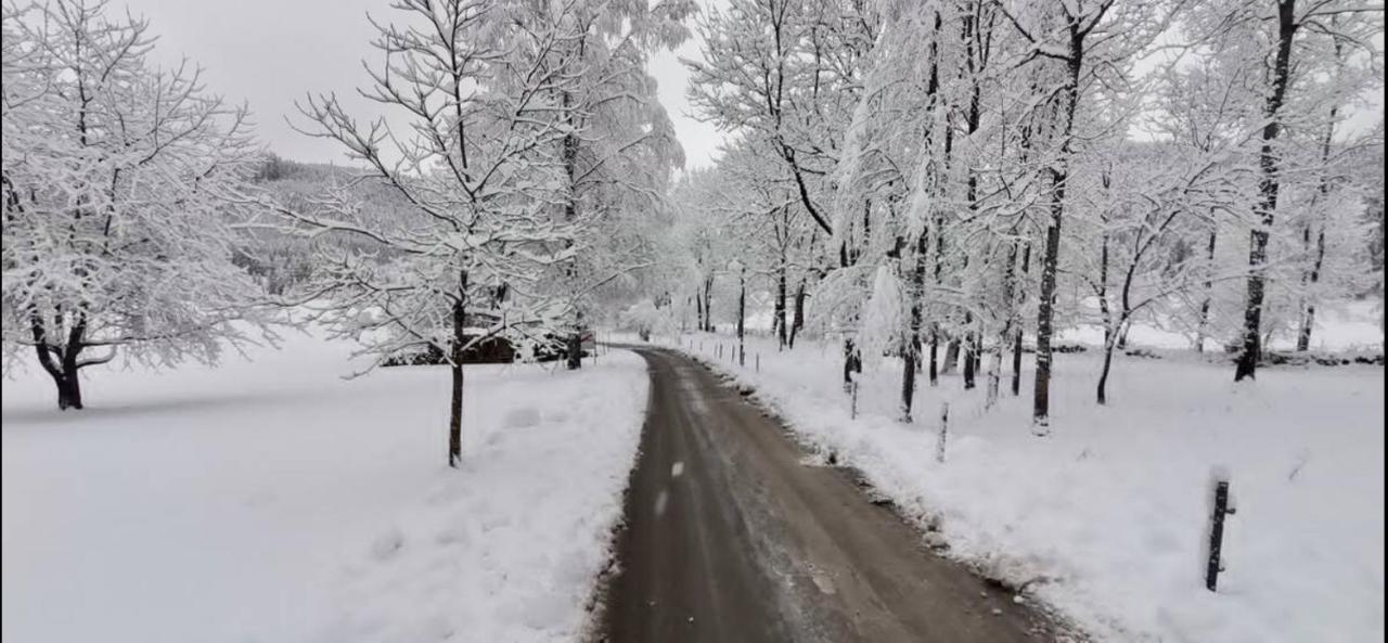 Apartment mit Seeblick