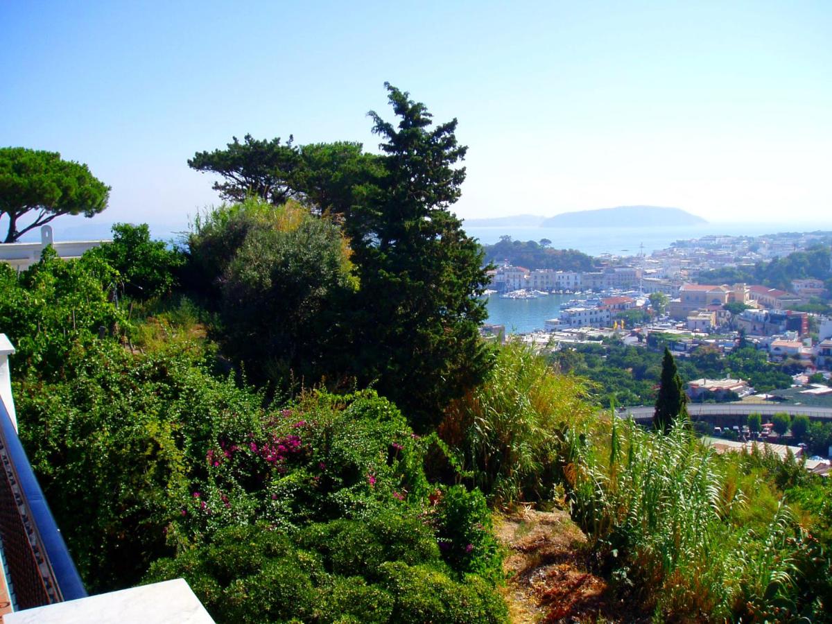 Villa Angela Apartment - B&B Ischia
