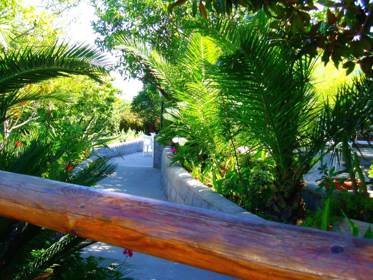 Villa Angela Apartment - B&B Ischia