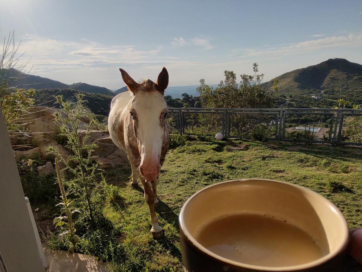 B&B Estancia Grande - Potrero del Rey - Bed and Breakfast Estancia Grande