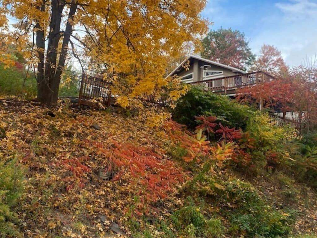 Moon Swept on Keuka - Chambres d’hôtes