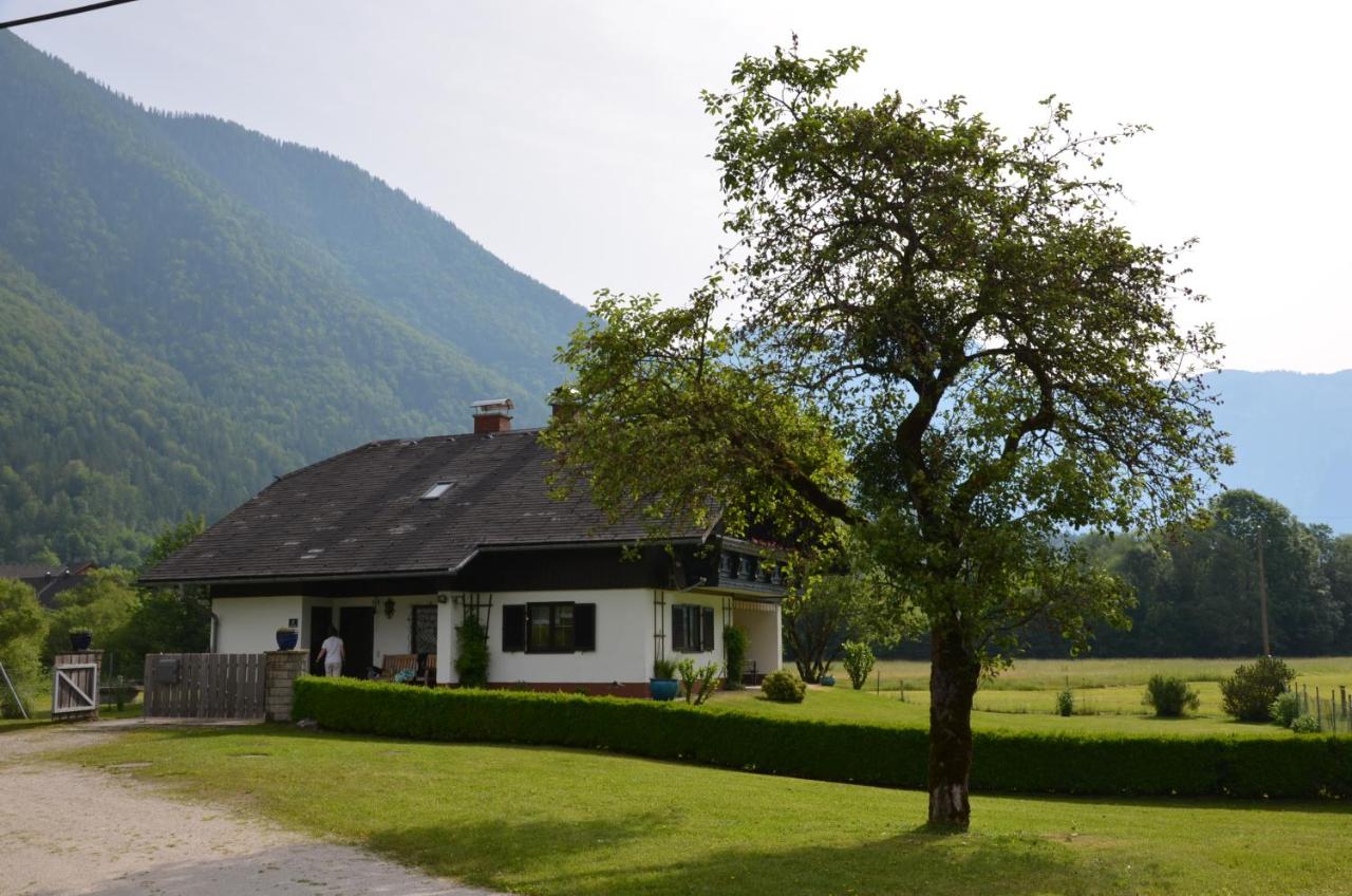 B&B Obertraun - Seehof Royer - Bed and Breakfast Obertraun