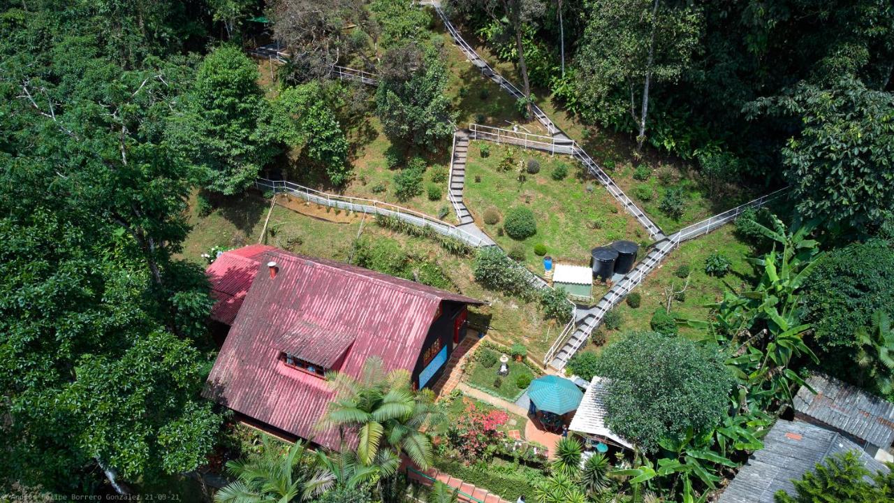 B&B Santiago de Cali - Bosque de Niebla Birding & Nature - Bed and Breakfast Santiago de Cali