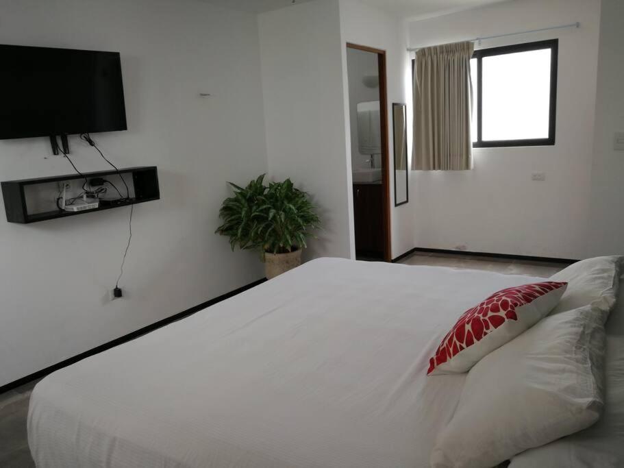 Apartment with excellent location! near Altabrisa - Chambres d'hôtes Mérida