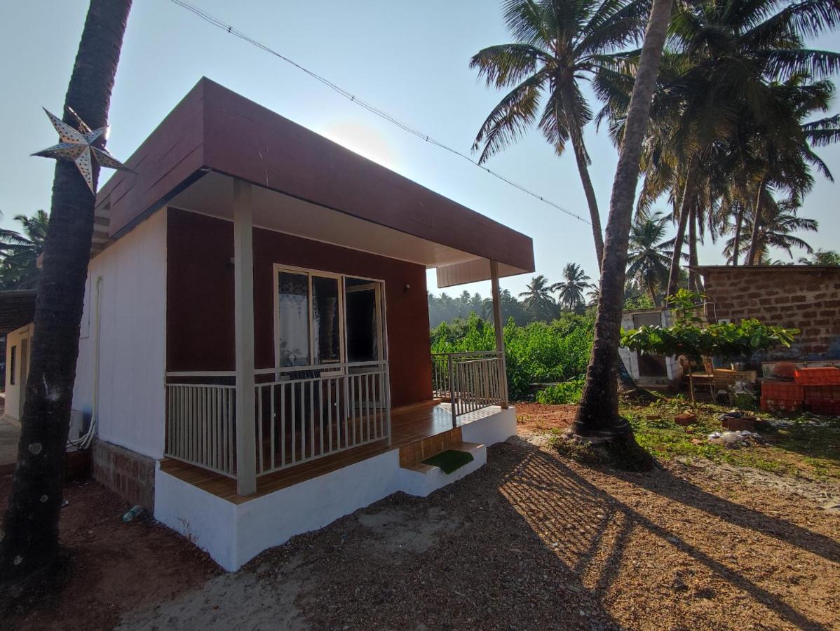 Coral Beach Cottage - B&B