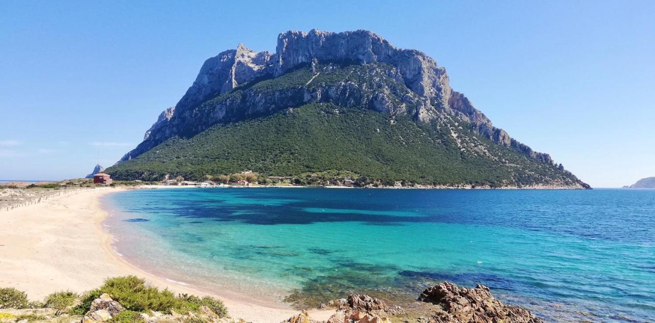 ISS Travel, Molly's Garden - 2-bedroom apartment with air-condition - Chambres d'hôtes San Teodoro