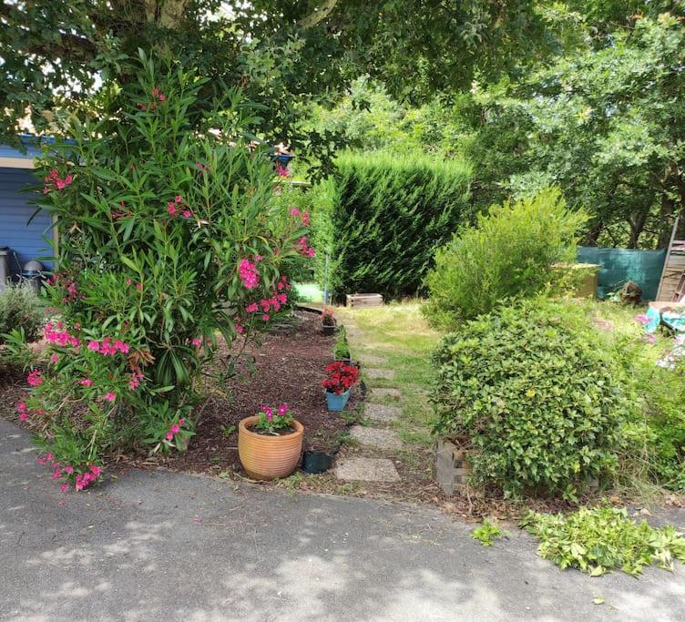 Appartement avec terrasse en lisière de forêt - Ferienwohnung Biscarrosse