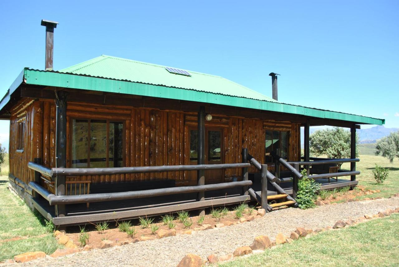 Double or Twin Room with Mountain View