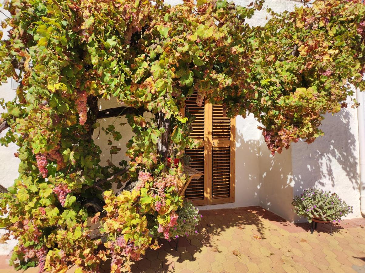 Trullo Nonna Rosa - Ferienwohnung Antonelli