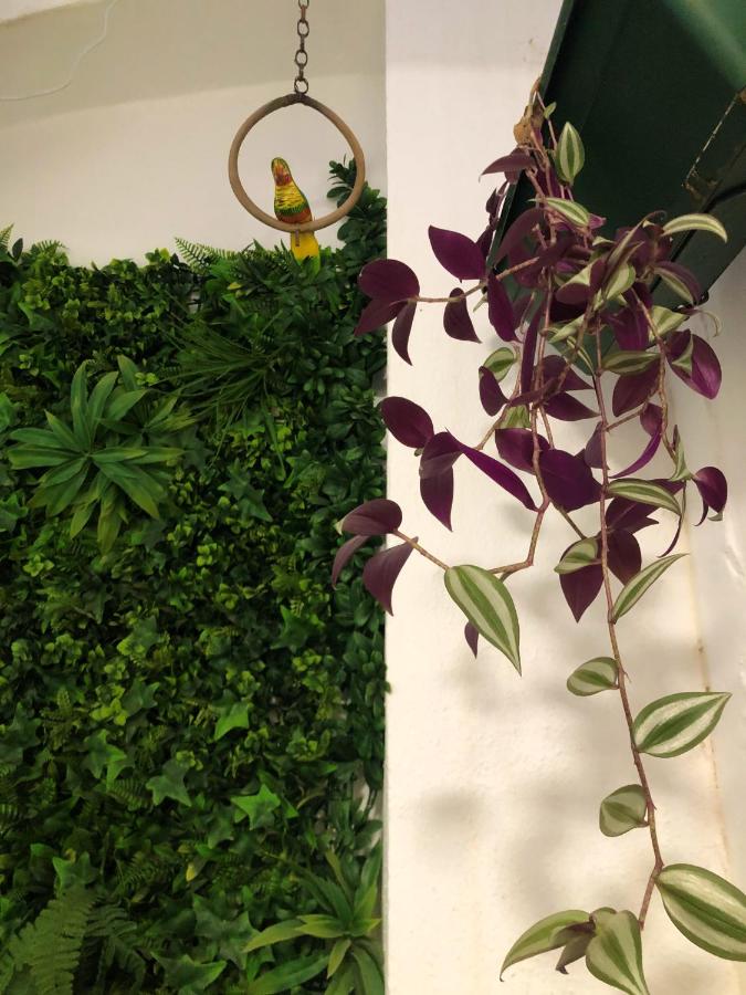 NatureHouse - B&B